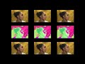 Video Project