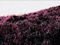 Click here to watch this video PV「苺の味の飴玉」 暗い部屋に一人 オリジナル曲