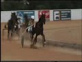 Horse Trotting Races Menorca