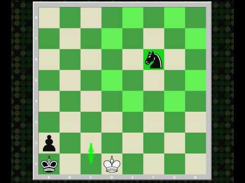 chess knight chess knight