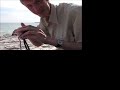 BlackBerry Cool reviews SideWinder for BlackBerry