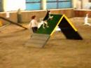 Agility b?h Fausta 3.6.2007