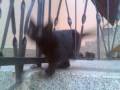videos de Maca Zez 4