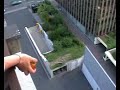 Hole in One - MUST SEE!!!!