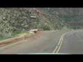 ????????(???????Zion national park ?