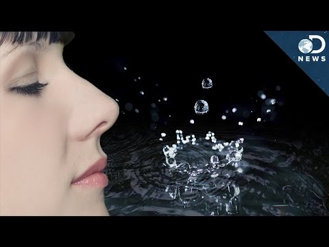 Why Does Rain Smell So Good?