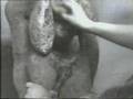Arte-Marginacion-y-R