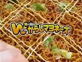 Tomomi Kahara Fried Noodles CM 3