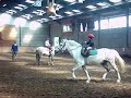 Leçon poney 21-05-08