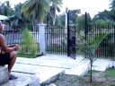 Tagbilaran's Dying Meadows (Cabawan)