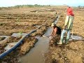 Teak Invest Bali Agro Watersytem Jawa