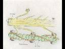 video movimiento.mpg