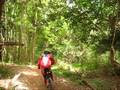 Kyran McCarthy - Holy Trail, Mt Keira