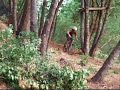 Kids n Bikes Kids n Bikes