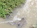 vertidos al rio