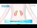 慢性腎不全/ミルメディカル 家庭の医学動画版 ミルメディカル 腎不全