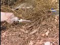 www.rtvcm.es Tres personas han muerto y cinco han resultado heridas en un accidente en el que se han visto implicados tres vehículos y un camión que transportaba madera que, al parecer, ha podido ser el causante del siniestro. Ha ocurrido en la nacional 301, que une las localidades toledanas de Corral de Almaguer y Quintanar de la Orden. Los vehículos implicados, que se encontraban parados en unas obras de la carretera, recibían el brutal impacto de un camión que transportaba madera. Buena parte de los accidentes más graves del verano están teniendo lugar en las carreteras de Castilla La Mancha. Especialmente en la nacional 301, donde hace 2 meses también se produjo un accidente muy similar al último ocurrido. (18-08-2008)