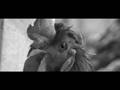 videos de Ladrones de Gallinas.mpg