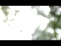 MOV02A