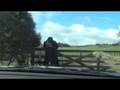 videos de Hanging Out The Car.MOD.ff.mov