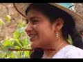 SACAMBAYA ( JIMAWA ) Chinchiri cholita  