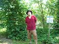 indy and wildman eat poison ivy