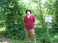 indy and wildman eat poison ivy