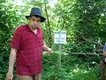 indy and wildman eat poison ivy