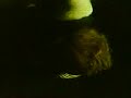 Br�drene Br�k - N�stved