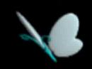 THIS BUTTERFLY FLIES IN PLACE WHILE I PLAY UNFITTING MUSIC