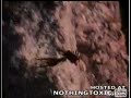 OMG!!! eagel carries away its HUGE prey!!!.avi