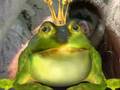 The Heavy Metal Frog's Question of the Week #2