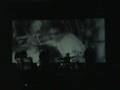 pg.lost live