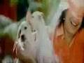 Neha Bhasin NB- Pesugiren (Satham Podathey)