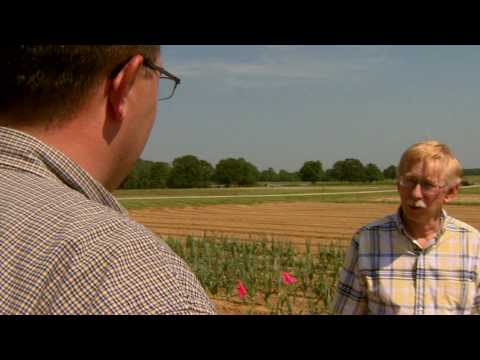 how to transplant kudzu