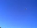 this is my fly level in open environment. i�m beginner yet, but i�m begin to enjoy flying without crashes.

ff7
3800 esky motor
gyro esky hh
1350 20c megapower