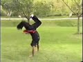 ninja impacto total
