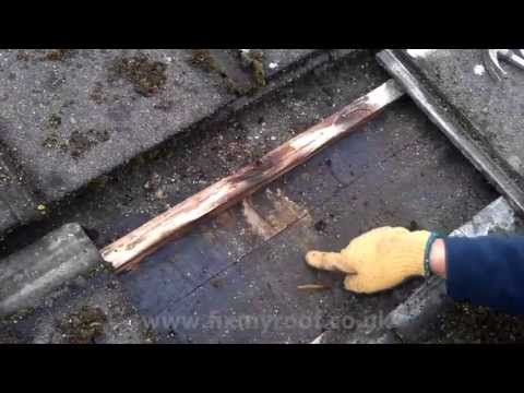 how to eliminate moss on a roof