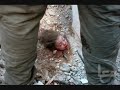 ¡Terrorismo israelí!!