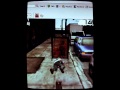 แคชเกมส์y8 - YouTube