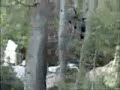 disneyland fantasyland casey jr  circus train clip 1999