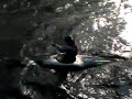 yp 1st 0165.MP4