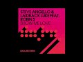 &Laidback Luke ft. Robin S - Show Me Love (Blame Remix)
