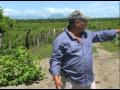 Hidden causes of deforestation in El Salvador (Spanish) Part 2.mov