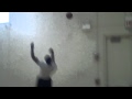 Andre Iguodala Trick Shot