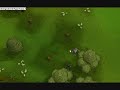 runescape