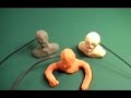 In Animation