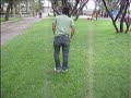 disk haciendo flips