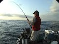 Spainish Mackeral Hook Up