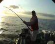 Spainish Mackeral Hook Up